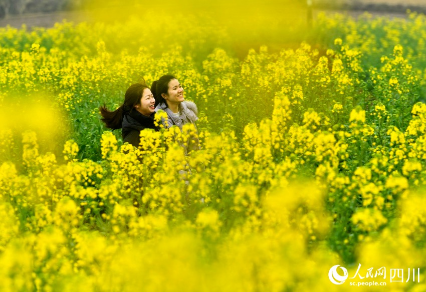 Sichuan: i fiori attirano visitatori, creando un meraviglioso scenario rurale