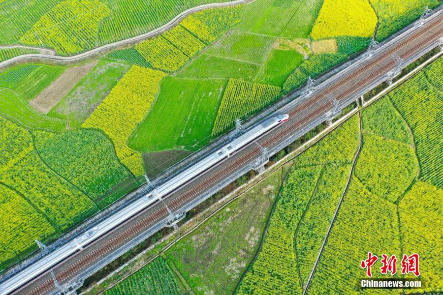 Guizhou: i treni attraversano i campi di colza