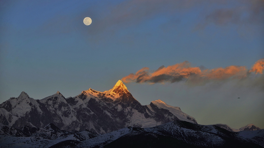 Collezione di opere eccezionali del terzo Tibetan Internet Video Festival