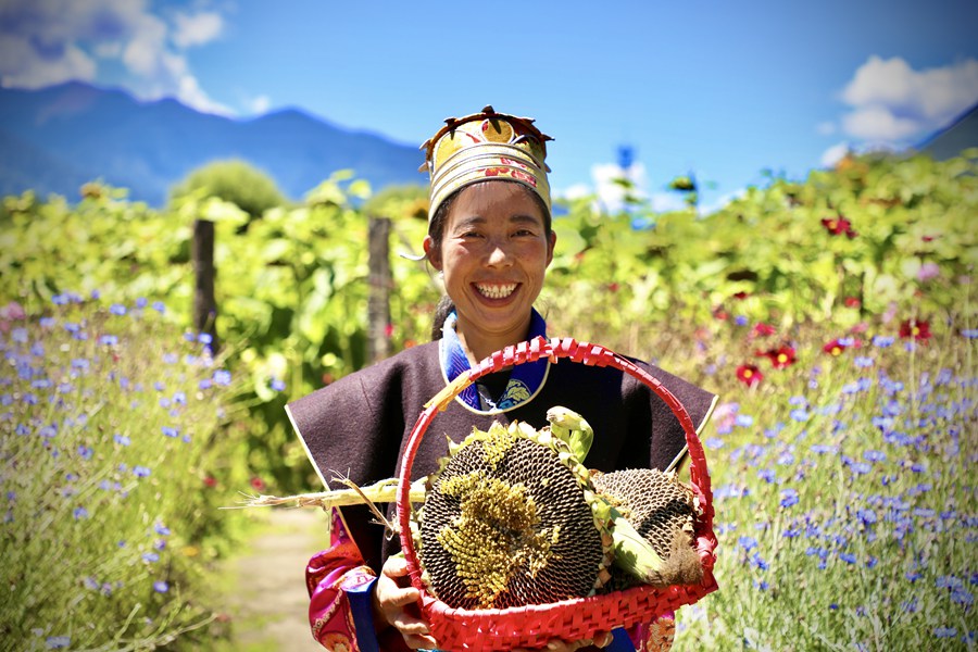 Collezione di opere eccezionali del terzo Tibetan Internet Video Festival