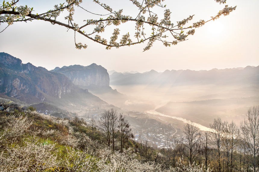 Guizhou: la campagna in fiore come un dipinto primaverile