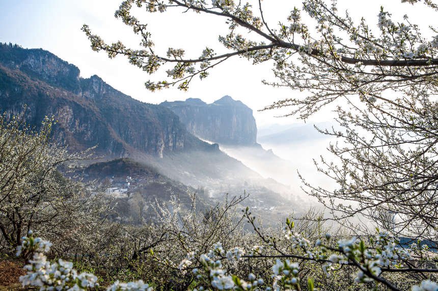 Guizhou: la campagna in fiore come un dipinto primaverile
