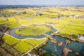 La piccola colza e la grande industria