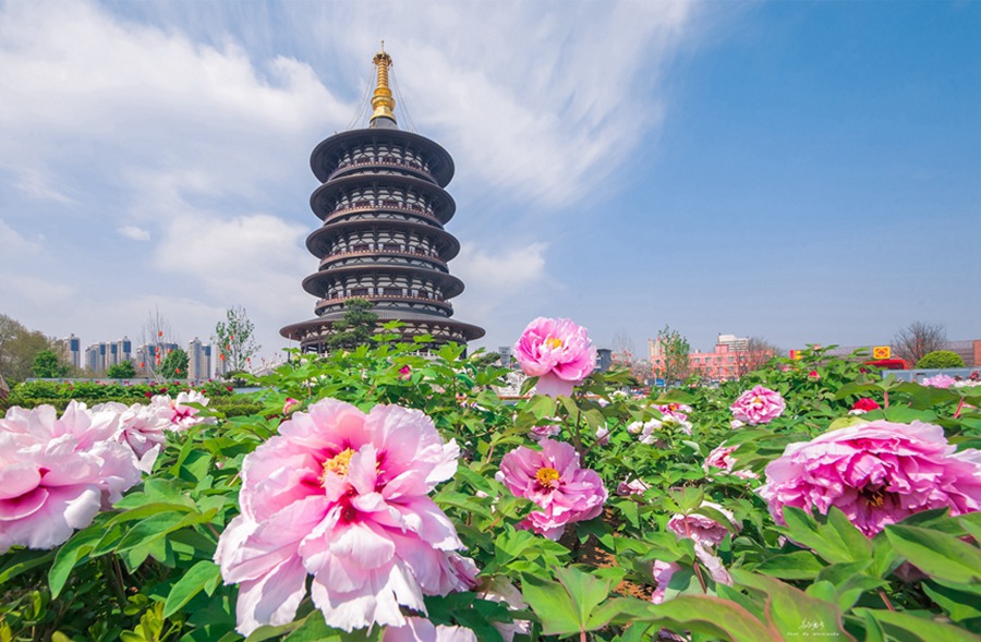Monumenti rappresentativi della città di Luoyang.