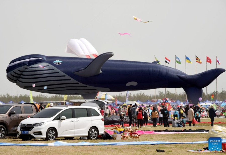 Al via la competizione di volo degli aquiloni del 40° Weifang International Kite Festival