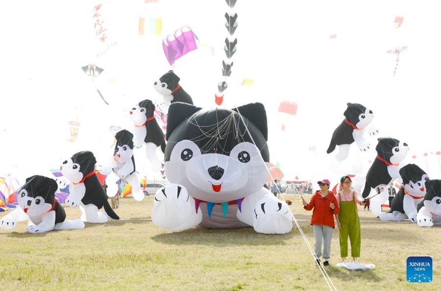 Al via la competizione di volo degli aquiloni del 40° Weifang International Kite Festival