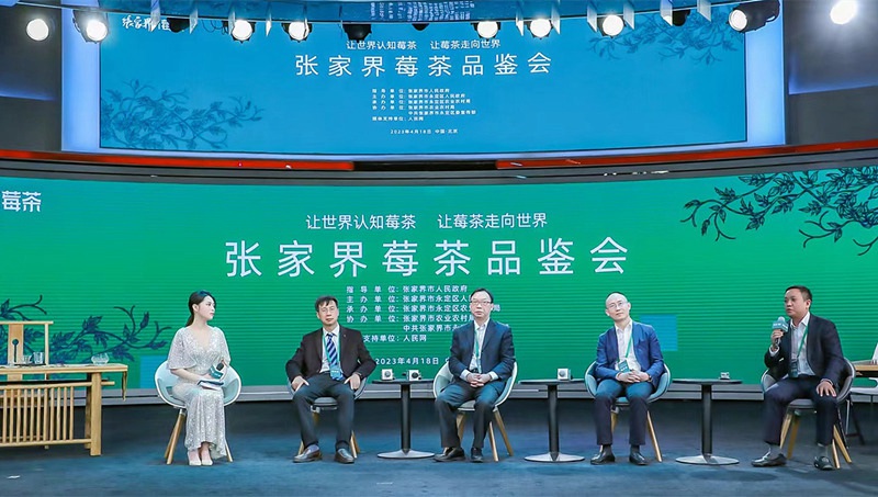 Conferenza di Degustazione di Tè ai Frutti di Bosco di Zhangjiajie. (18 aprile 2023 – Quotidiano del Popolo Online)