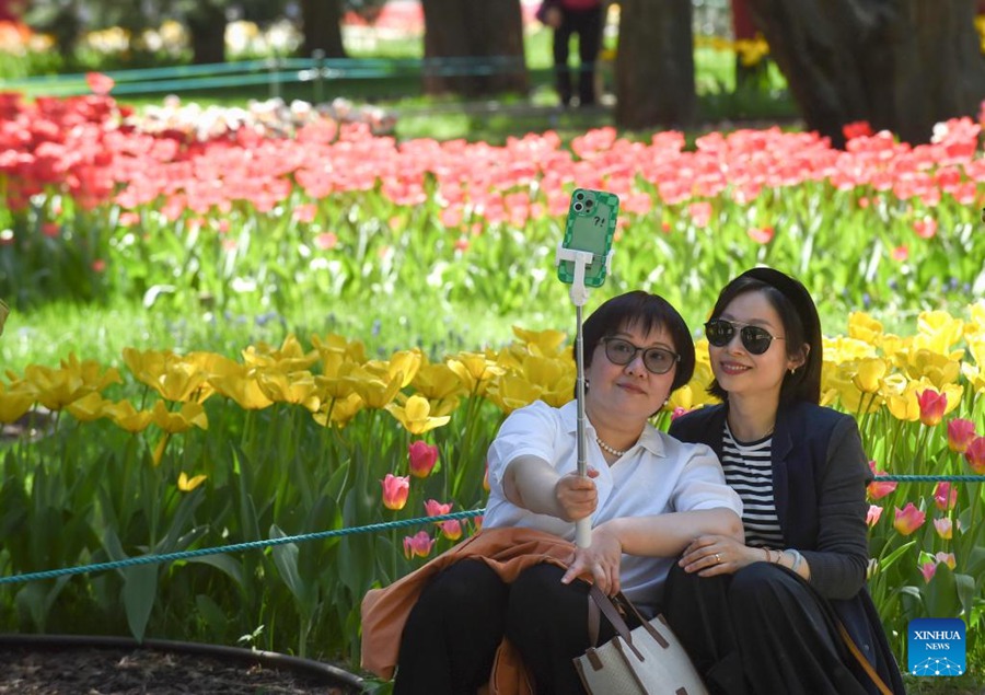 Parco Zhongshan di Beijing, tulipani in piena fioritura