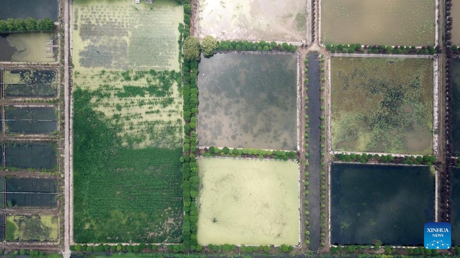 Hunan: il lago Datong vede significativi miglioramenti ambientali ed economici