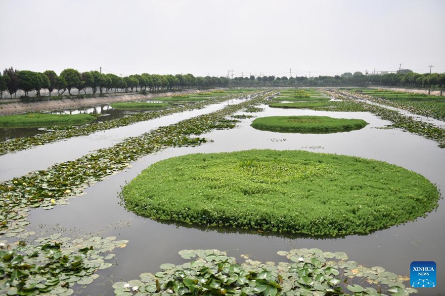 Hunan: il lago Datong vede significativi miglioramenti ambientali ed economici