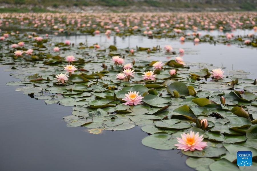 Hunan: il lago Datong vede significativi miglioramenti ambientali ed economici