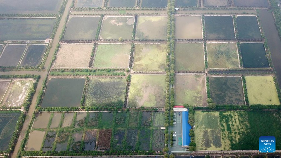 Hunan: il lago Datong vede significativi miglioramenti ambientali ed economici