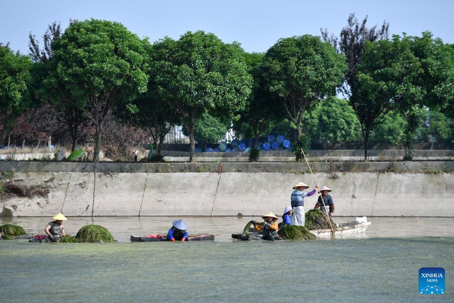 Hunan: il lago Datong vede significativi miglioramenti ambientali ed economici