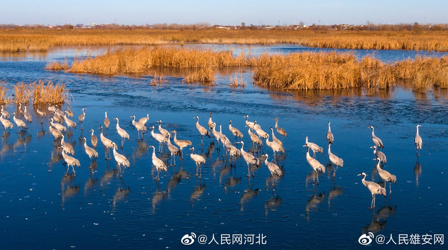 Hengshui: verranno emessi francobolli commemorativi Cina-Spagna