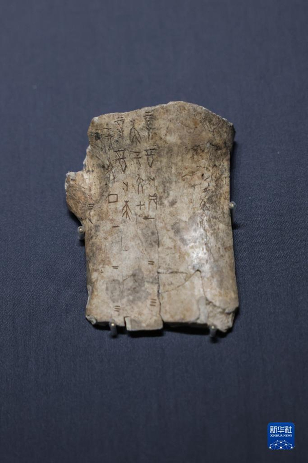 Shandong: al via la mostra speciale della Giornata internazionale dei musei