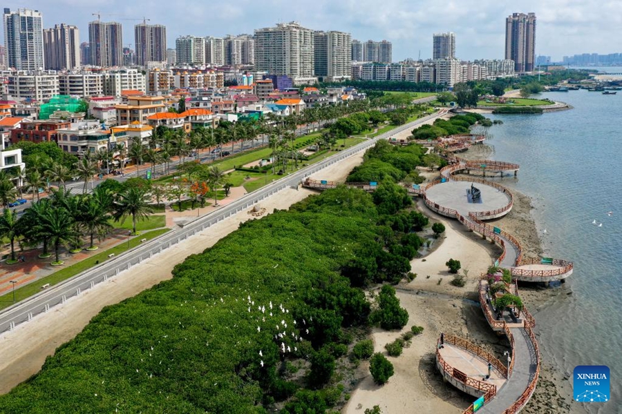 Vista aerea della città di Zhanjiang nel Guangdong