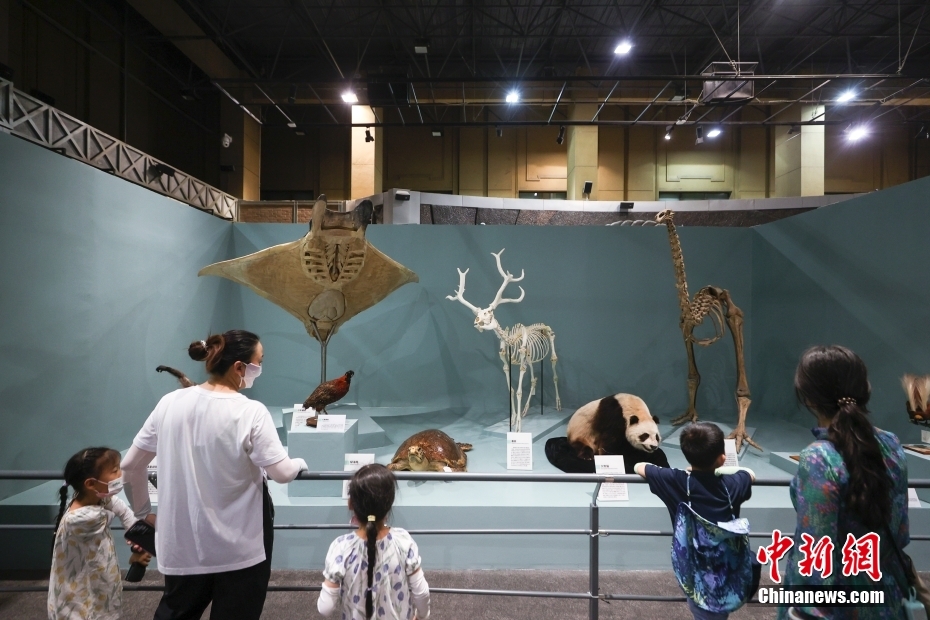 Aperta al pubblico la mostra delle collezioni selezionate dal Museo Nazionale di Storia Naturale