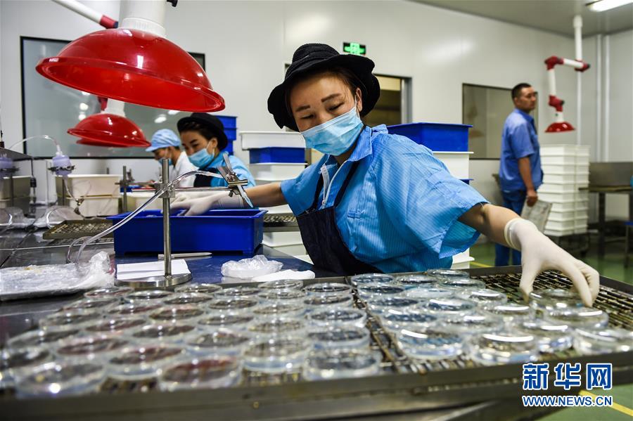 Danyang, capitale degli occhiali in Cina, produce più di 400 milioni di lenti all'anno
