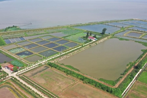 Ricercatori conducono studi sull'ecosistema delle zone umide del Lago Dongting nella Cina Centrale