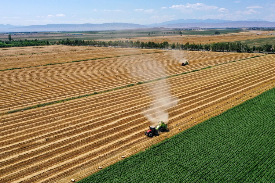 Vista aerea degli agricoltori che raccolgono il grano nella contea di Hutubi, nella regione autonoma uigura dello Xinjiang, nella Cina nordoccidentale. (15 luglio 2023 - Xinhua/Ding Lei)
