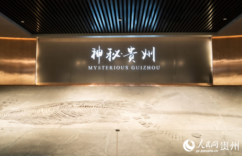 Giornalisti da Paesi eurasiatici viaggiano attraverso il tempo e lo spazio nel Museo Geologico del Guizhou