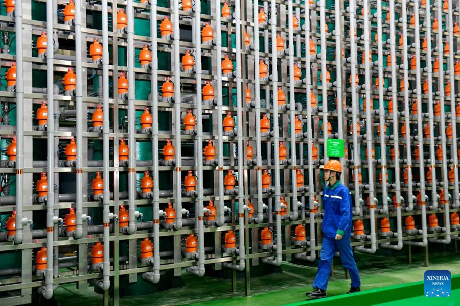 Boxing costruisce filiere industriali e di approvvigionamento per stimolare l'economia locale
