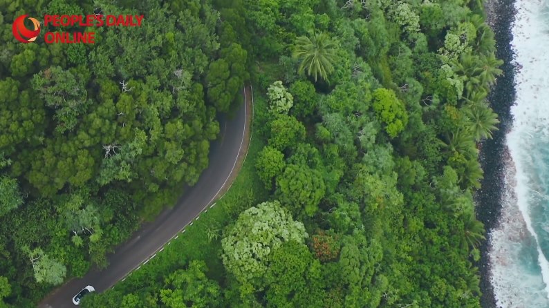 Shenzhen: integrazione armoniosa di modernità, tradizione e natura