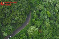 Shenzhen: integrazione armoniosa di modernità, tradizione e natura