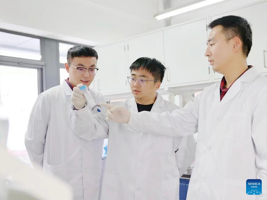 Ricercatori osservano campioni sperimentali in un laboratorio a Beijing, capitale della Cina. (14 novembre 2022 - Istituto di Ingegneria di Processo/In gentile concessione a Xinhua)