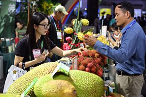 Al via la XXVI Fiera Internazionale Invernale dei Prodotti Agricoli Tropicali della Cina (Hainan)