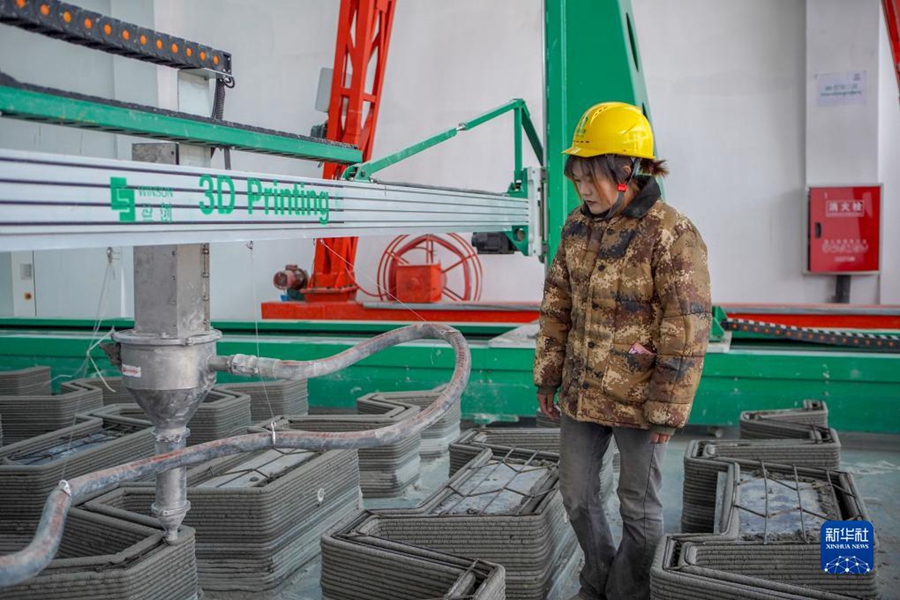 Compagnia di costruzioni con stampa 3D favorisce lo sviluppo dei villaggi nello Xizang