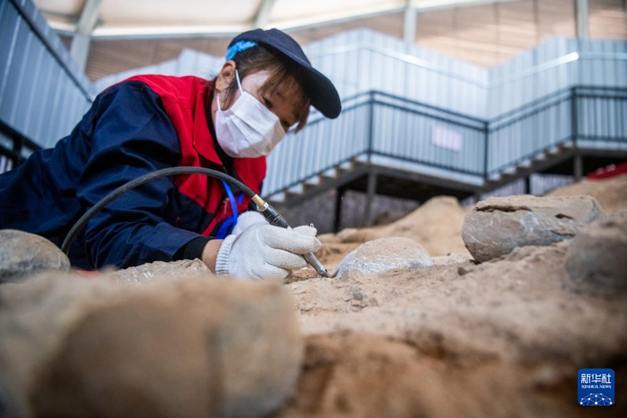 Fossili di uova di dinosauro cristallizzate scoperti per la prima volta nello Hubei