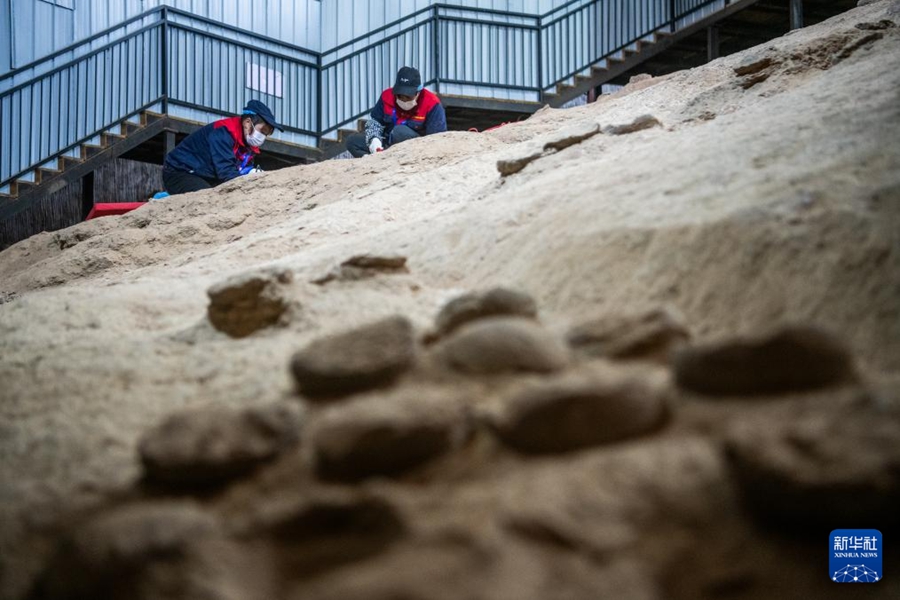 Fossili di uova di dinosauro cristallizzate scoperti per la prima volta nello Hubei