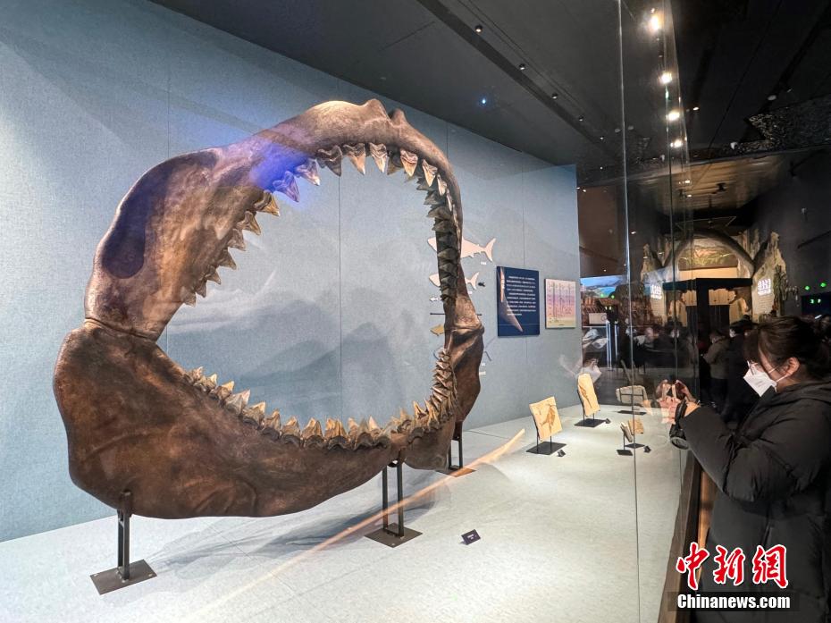 Il più grande museo di scienze naturali dell'Asia apre a Baoding, Hebei