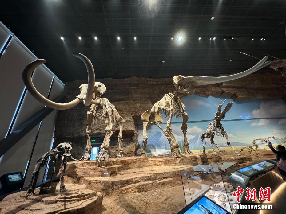 Il più grande museo di scienze naturali dell'Asia apre a Baoding, Hebei