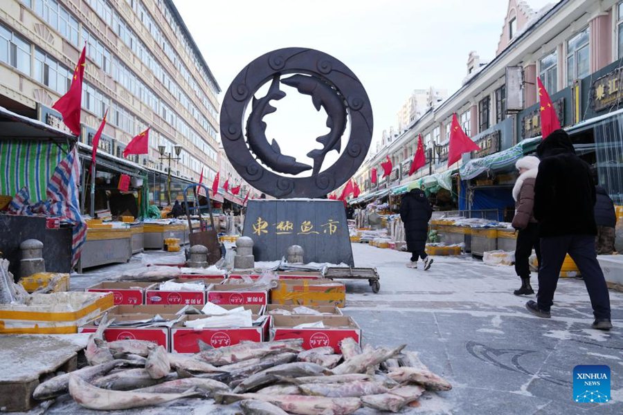 Il mercato ittico di Dongji a Fuyuan, nella provincia dello Heilongjiang, Cina nord-orientale. (31 gennaio 2024 - Xinhua/Wang Jianwei)