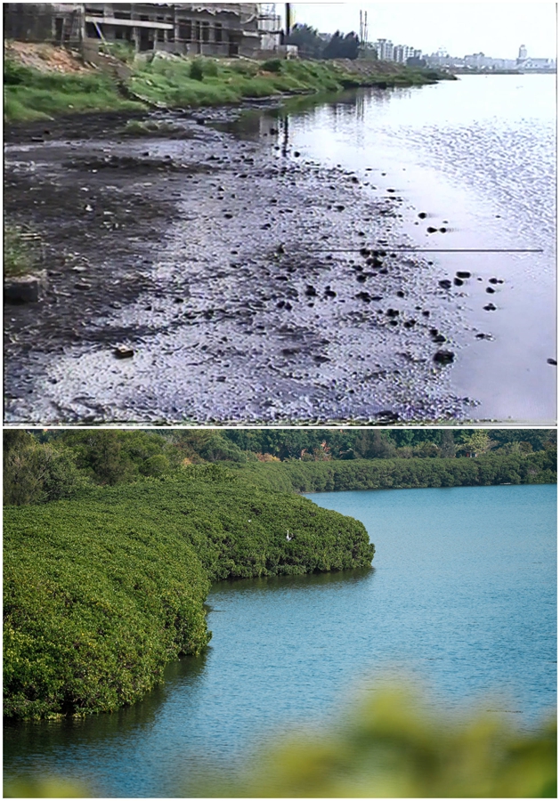 Da lago puzzolente a polmone verde della città: la splendida trasformazione del lago Yundang