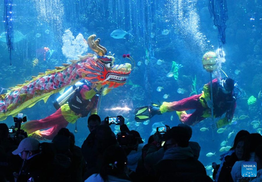 Danza subacquea del drago a Qingdao