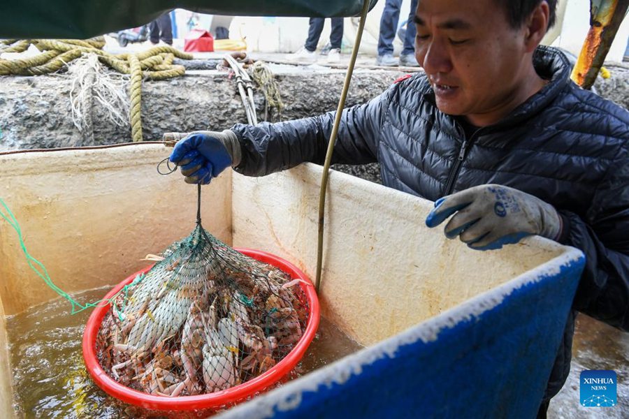 Shenzhen: nuova rotta di consegna di frutti di mare tramite drone