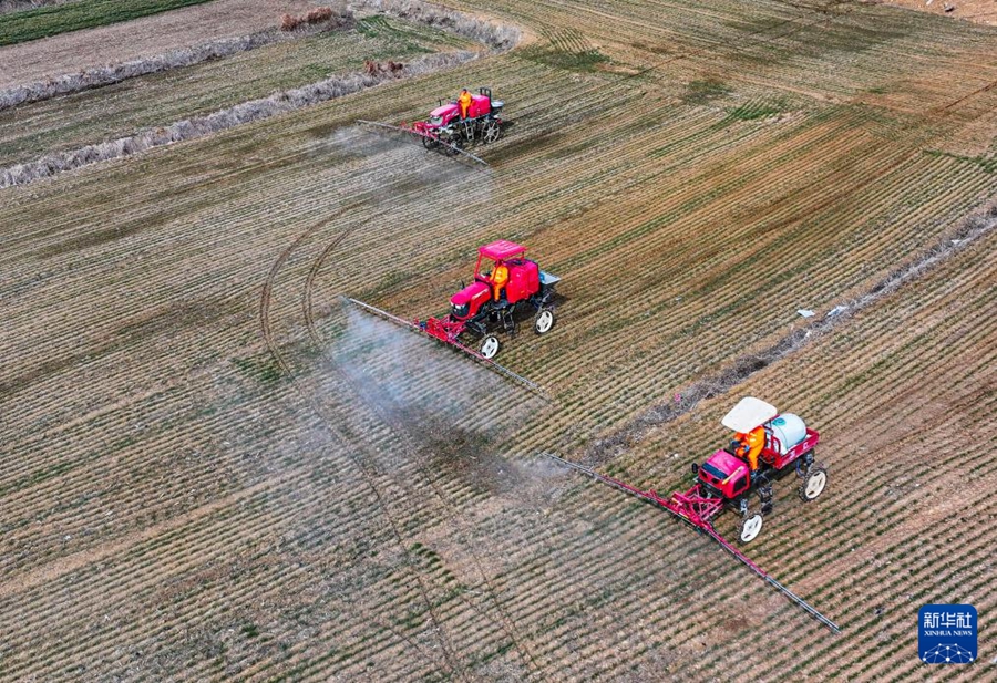 Agricoltori impegnati nelle attività agricole primaverili in tutta la Cina