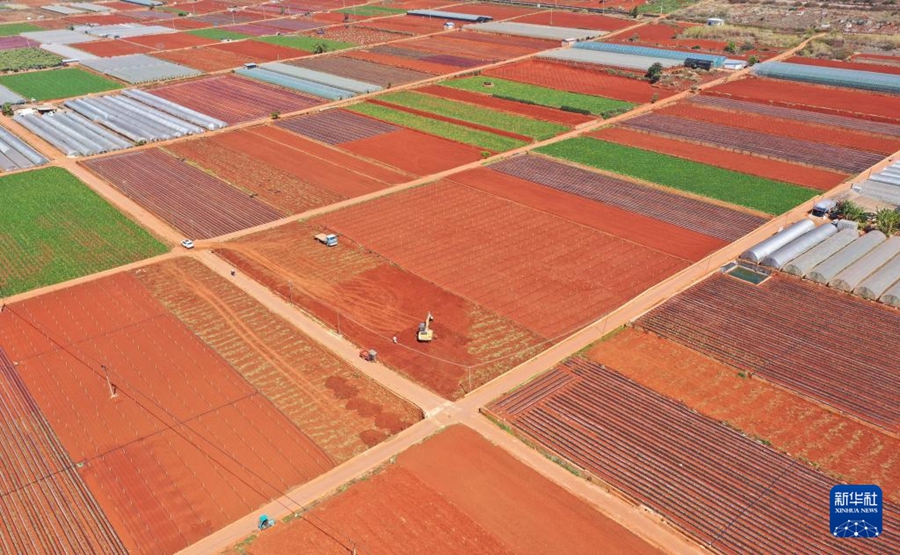 Agricoltori impegnati nelle attività agricole primaverili in tutta la Cina