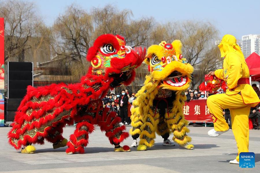Varie attività in tutta la Cina per festeggiare il giorno di Longtaitou