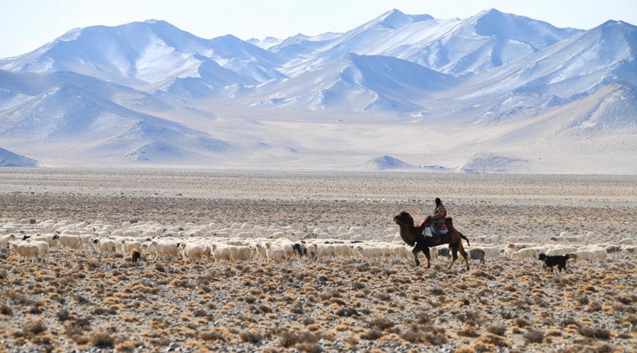 Transumanza primaverile ad Akesai, Gansu