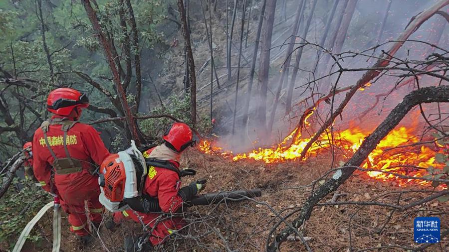 Ultime notizie sugli incendi boschivi nel Sichuan e nello Yunnan