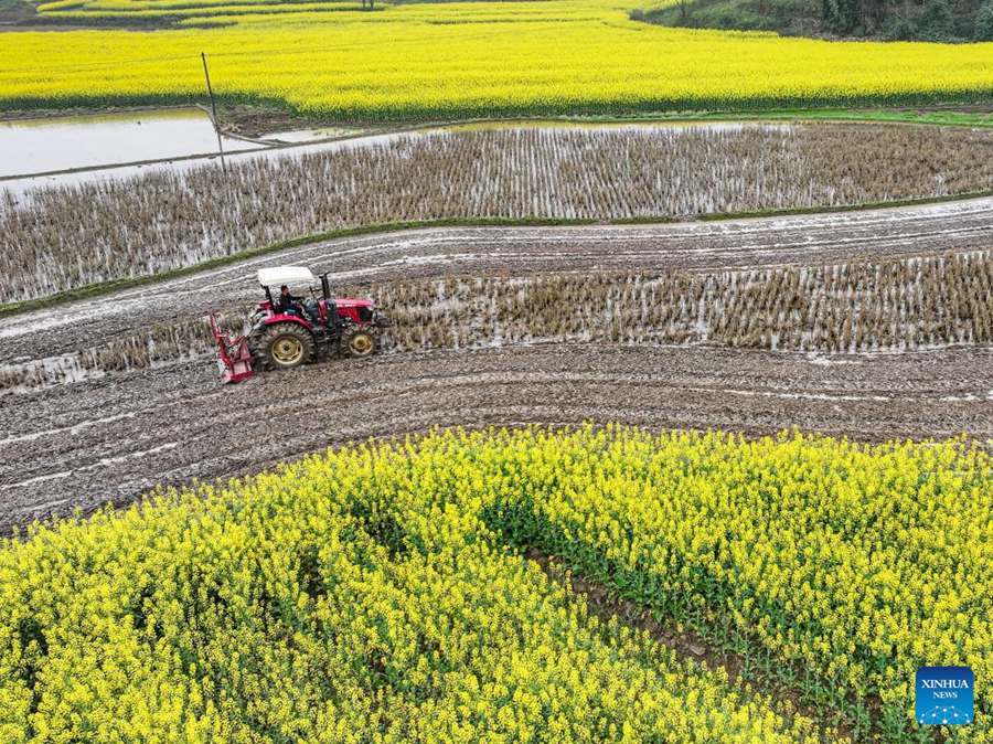 Lavori agricoli primaverili in corso in tutta la Cina