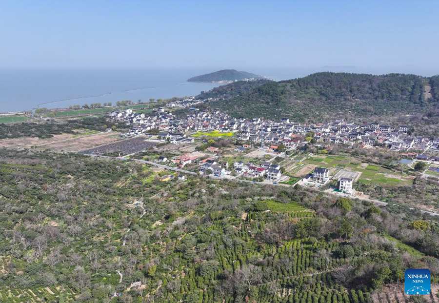 Stagione della raccolta delle foglie di tè Biluochun a Suzhou