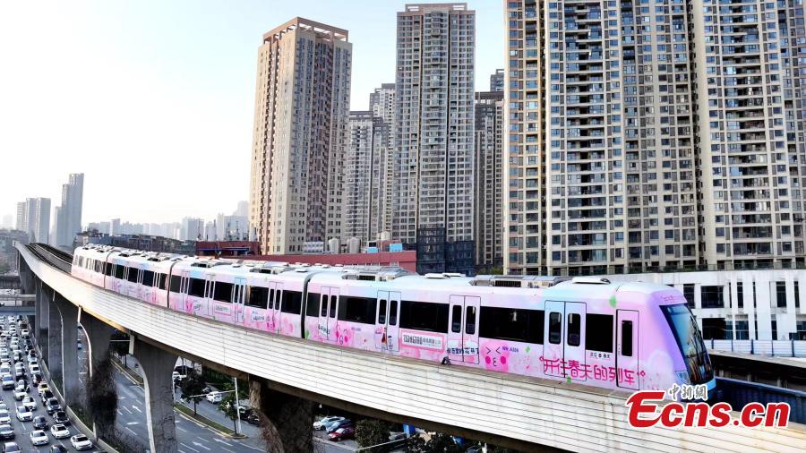 I treni rosa della metropolitana viaggiano verso la primavera