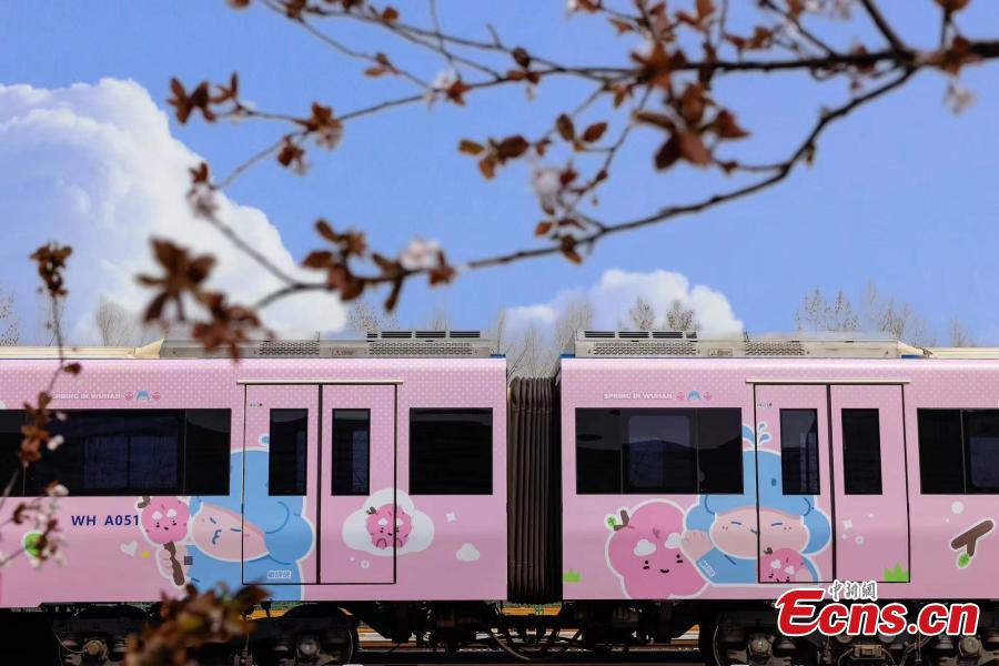 I treni rosa della metropolitana viaggiano verso la primavera