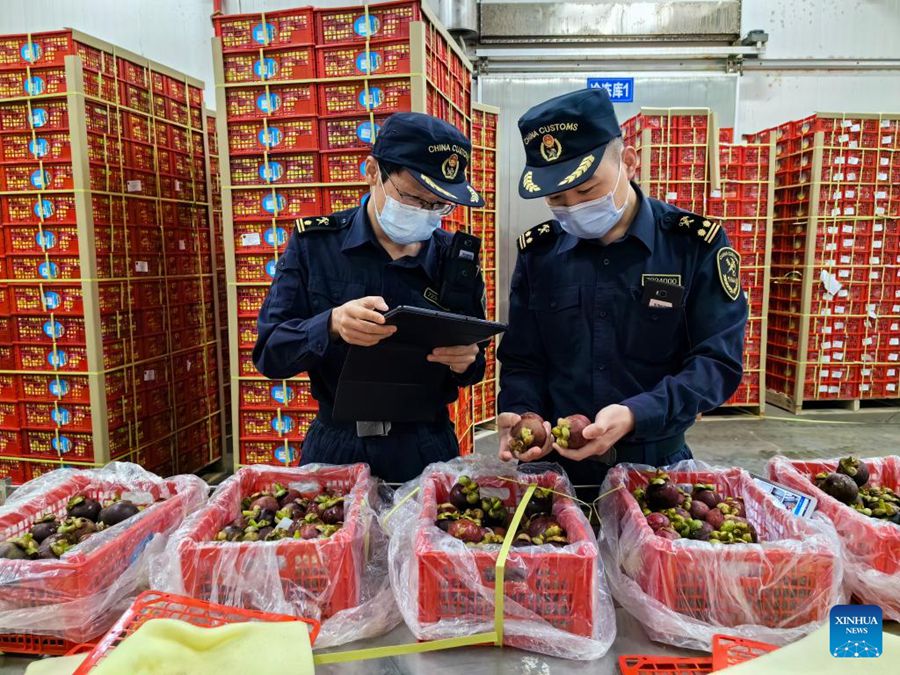 Ispettori della dogana portuale di Qinzhou controllano i mangostani importati nel porto di Qinzhou 25 marzo 2024. (25 marzo 2024 - Li Fuyang/Xinhua)