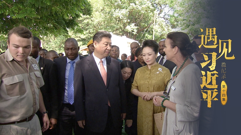 Incontro con Xi Jinping｜Roxy Danckwerts: mi piacerebbe andare in Cina ad abbracciare i panda giganti